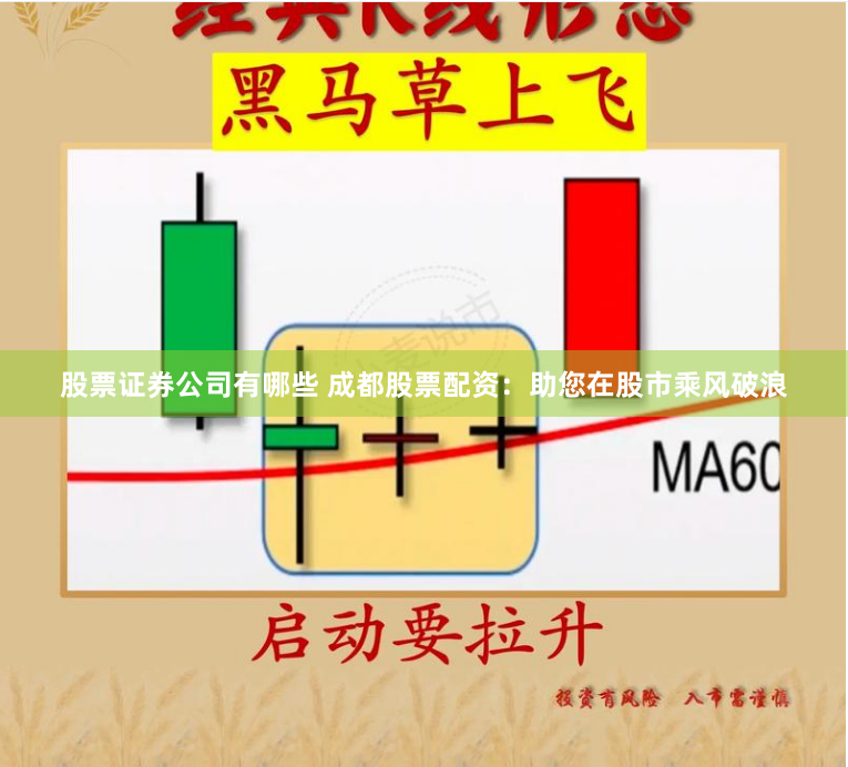 股票证券公司有哪些 成都股票配资：助您在股市乘风破浪